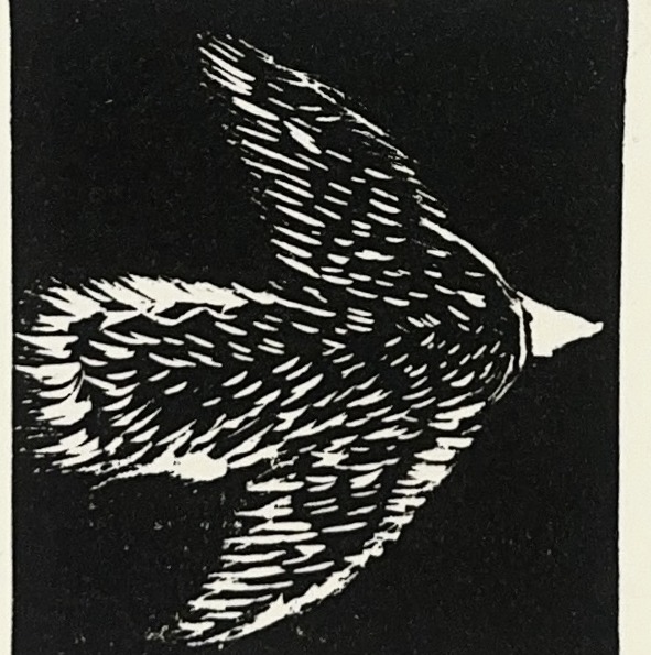 Fly Away